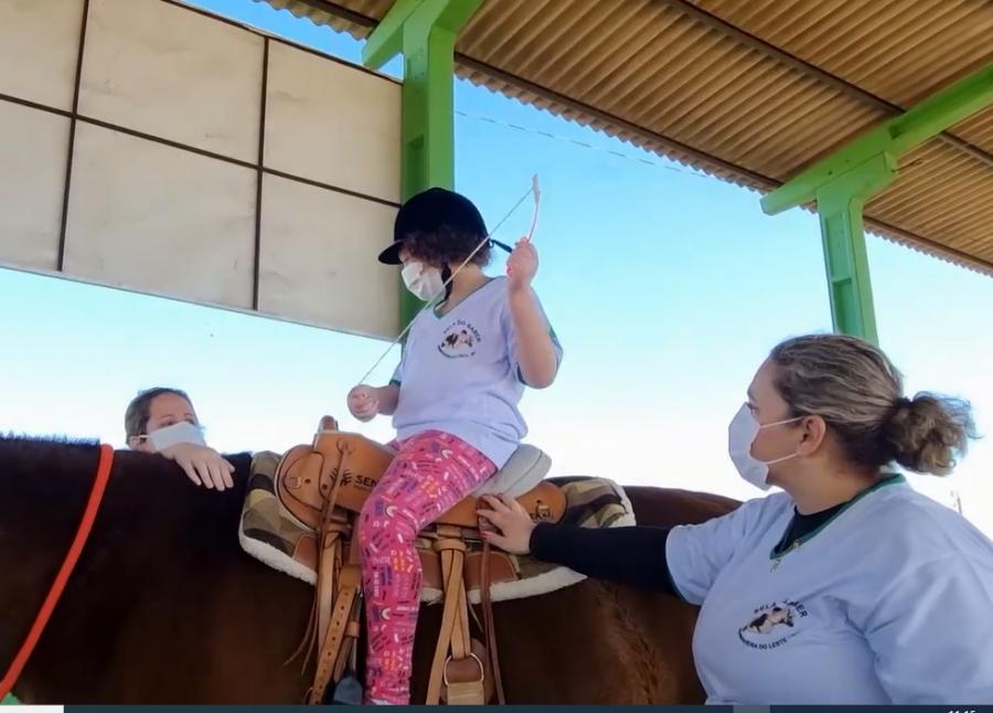 Cavalos ajudam na saúde física e mental com atividades em MT, Mato Grosso