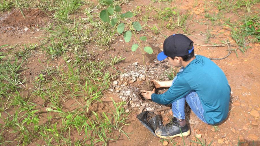 Imagem de Capa: SAMA e parceiros plantam mais de 1200 mudas de rvores frutferas nas margens do crrego Velha Joana