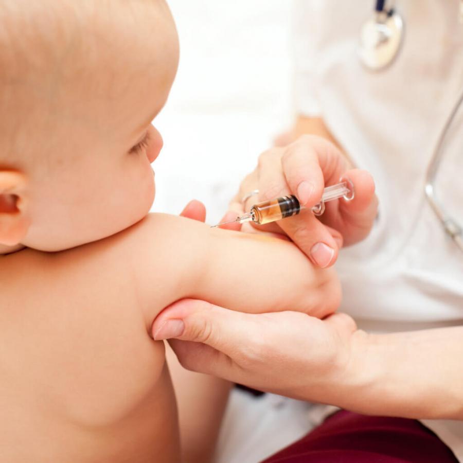 Vacina BCG estar disponvel a partir de sexta-feira (9)