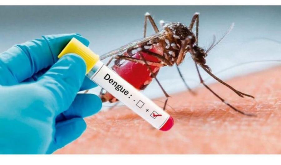Autoridades de saúde alertam população para casos de dengue no município