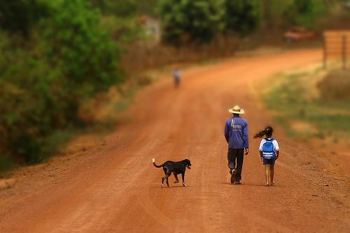 Governo do Estado atende pleito de produtores de Primavera do Leste e anuncia pavimentao da MT-448