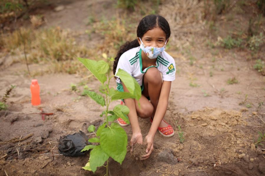 Lagoa de captao de gua recebe plantio de rvores nativas por alunos de Primavera do Leste