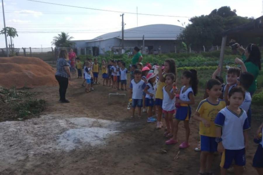Imagem de Capa: Alunos da Creche Dione Pavim visitam horta do projeto “2ª Chance” 