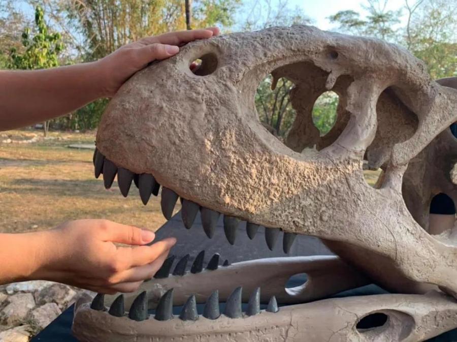 Exposição leva visitantes à época dos dinossauros em Primavera do Leste
