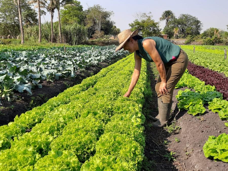 Feira da Lua Itinerante: Seis meses de sucesso fomentando a Agricultura Familiar em Primavera do Leste